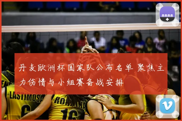 丹麦欧洲杯国家队公布名单 聚焦主力伤情与小组赛备战安排