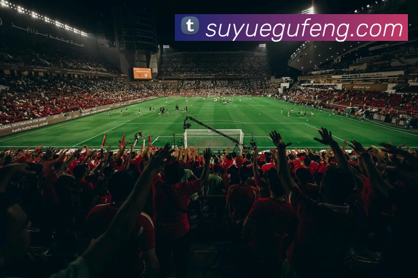 世界杯官方入口平台生态图