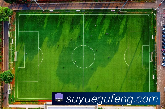 世界杯官方入口全站App